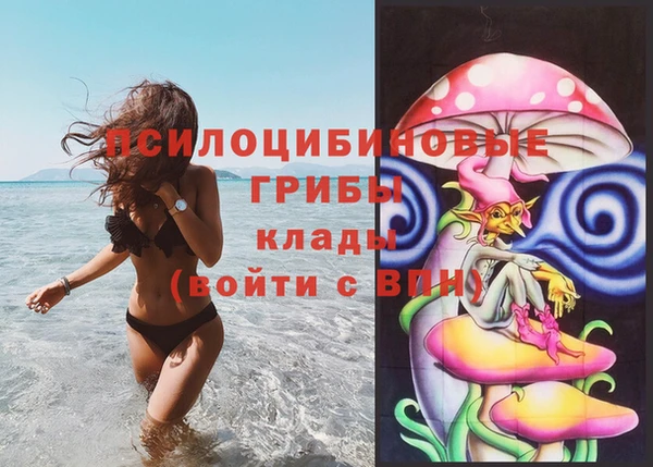 а пвп мука Дмитриев