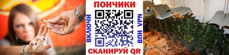 Конопля Amnesia Бодайбо